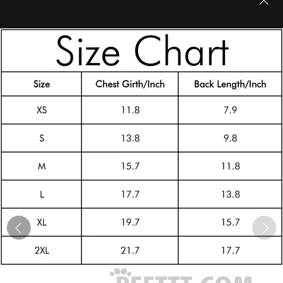 💗💗💗HOST PICK!💗💗💗 NWT Plaid Puppy Dog Dress - Picture 3 of 6